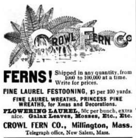 Ad for Crowl Fern Co from "New England Ghost Towns" Facebook page